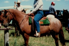 My Horse Suzie and I Again