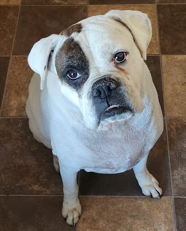 Karma from Crookston loves love ❤️ at any  minute of the day.